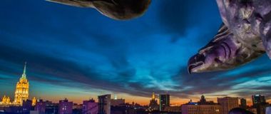 article recomendate post picture